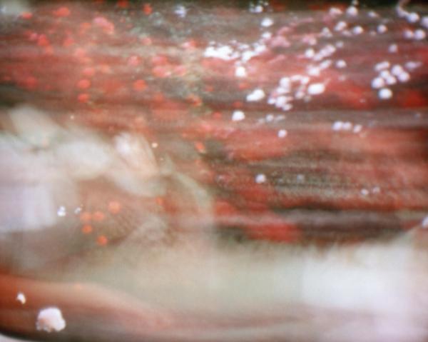 Sunville is a research on the objecthood of photography that ranges from old photographic techniques and expired film to digital 3D technology