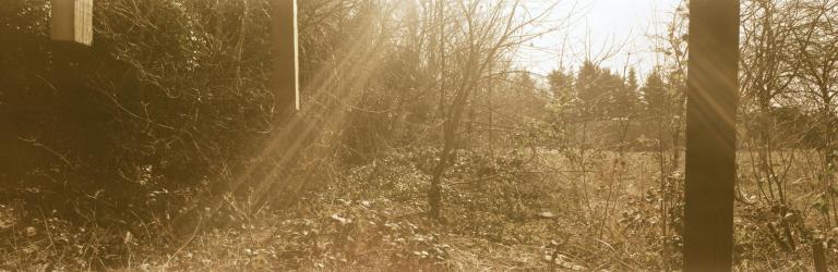 Sunville is a research by Ives Maes on the objecthood of photography that ranges from old photographic techniques and expired film to digital 3D technology